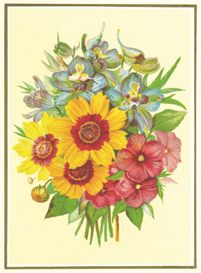 Bouquet carte ancienne de Juillet